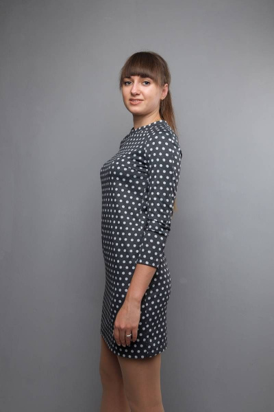 Платье прямого силуэта с длинным рукавом реглан Mita ЖМ1012 горох - фото 3