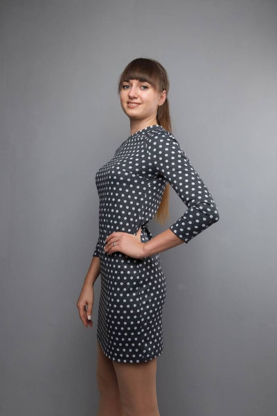 Платье прямого силуэта с длинным рукавом реглан Mita ЖМ1012 горох - фото 4