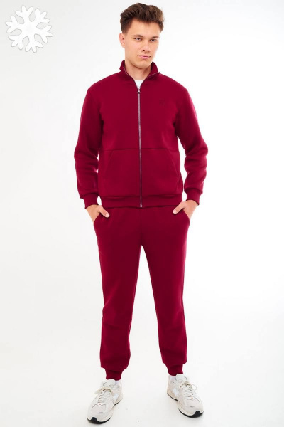Спортивный мужской костюм из трикотажа с начесом GO M3036/12-01.176-182 - фото 1