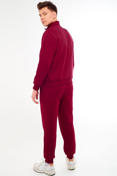 Спортивный мужской костюм из трикотажа с начесом GO M3036/12-01.176-182 - фото 2