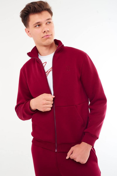 Мужской спортивный костюм с капюшоном и брюк из футера GO M3036/12-01.182-188 - фото 2