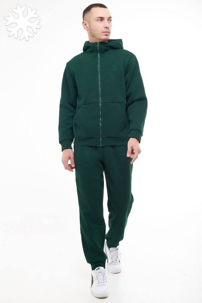 Демисезонный мужской спортивный костюм из трикотажа GO M3035/25-02.176-182 - фото 1