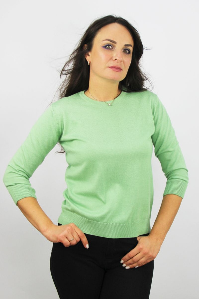 Джемпер Полесье С1528-23 3С3076-Д43 158,164 киви - фото 1
