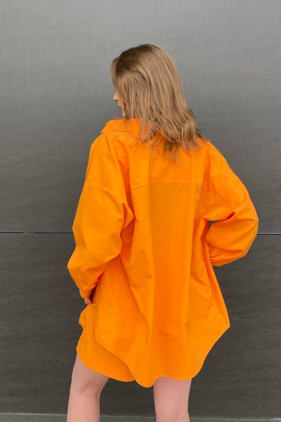 Рубашка The Mood 003-2 - фото 4