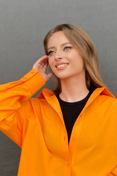 Рубашка The Mood 003-2 - фото 2