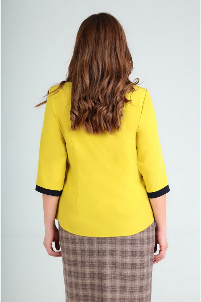 Демисезонная женская блуза в стиле на каждый день Таир-Гранд 62208-1 яблоко+т.синий - фото 4