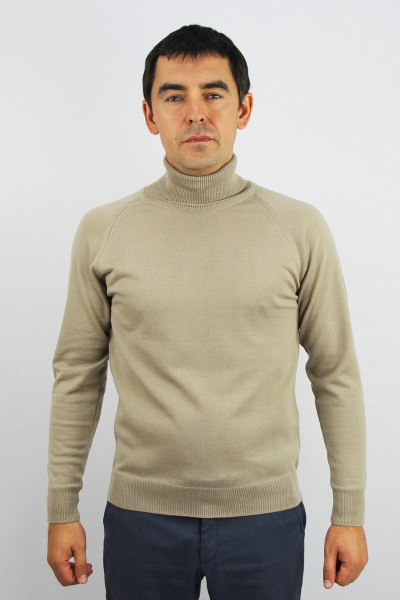 Бежевый свитер реглан с круглым вырезом Полесье С3070-17 7С1581-Д43 182,188 балтика - фото 1