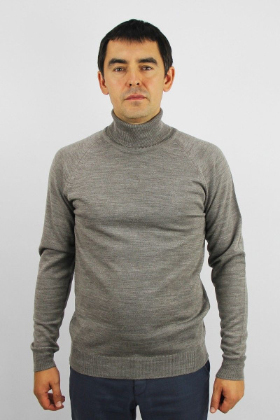 Свитер мужской трикотажный прямой с рукавом реглан Полесье С3070-17 7С1581-Д43 182,188 св.дюна - фото 1