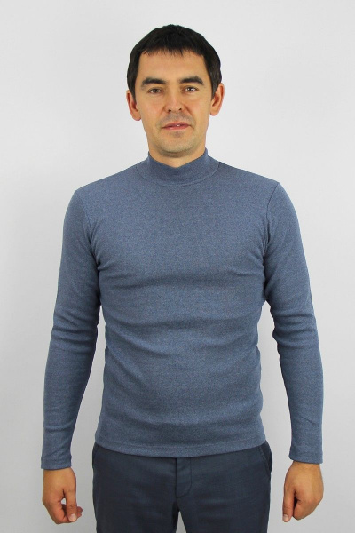 Демисезонный мужской свитер из трикотажа с воротником-стойкой Полесье С3149-22 2С5277-Д43 170,176 туча - фото 1