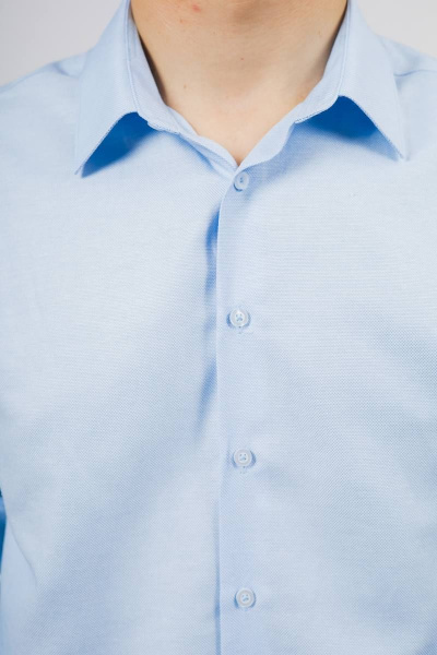Рубашка Nadex 01-048612/203-23.170-176 голубой_оксфорд - фото 6