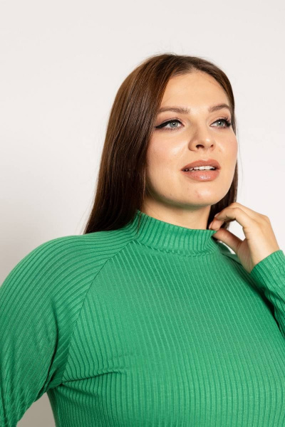 Демисезонная водолазка с двойной стойкой и реглан-рукавом Femme & Devur 30790 1.16BF(170) - фото 3