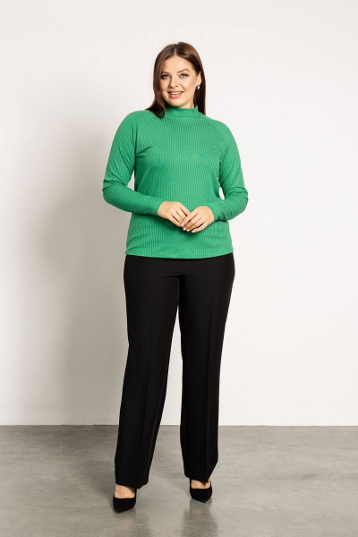 Демисезонная водолазка с двойной стойкой и реглан-рукавом Femme & Devur 30790 1.16BF(170) - фото 2