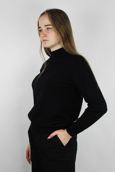 Свитер Полесье С3731-23 3С8783-Д43 158,164 черный - фото 2