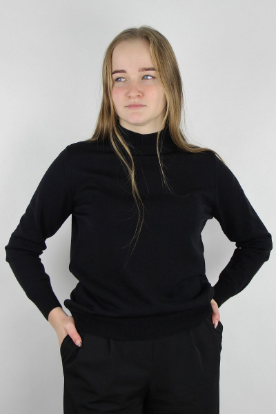 Свитер Полесье С3731-23 3С8783-Д43 158,164 черный - фото 1