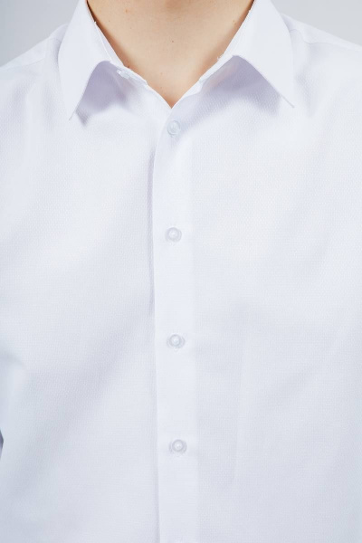 Рубашка Nadex 01-048612/529-23_170-176 белый - фото 9