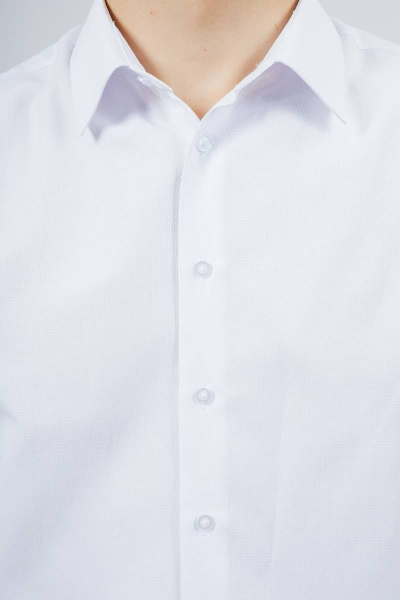Рубашка Nadex 01-048612/529-23_170-176 белый - фото 8