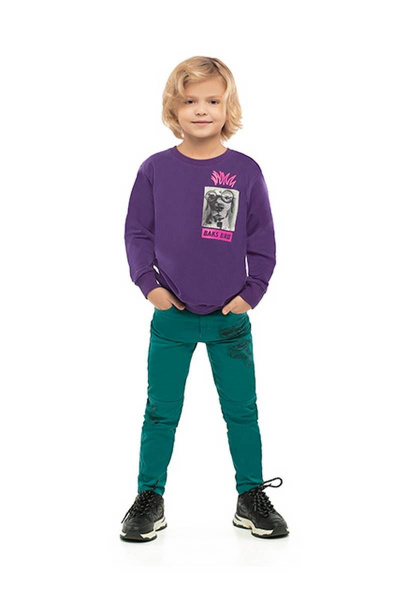 Джемпер для мальчика с рибаной и принтами в стиле Дружище бакс Bell Bimbo 200234 баклажан - фото 2