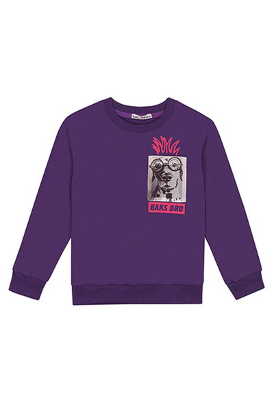 Джемпер для мальчика с рибаной и принтами в стиле Дружище бакс Bell Bimbo 200234 баклажан - фото 3