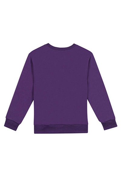 Джемпер для мальчика с рибаной и принтами в стиле Дружище бакс Bell Bimbo 200234 баклажан - фото 4