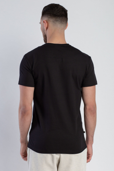 Футболка классическая с круглым вырезом, хлопковая, универсальная SERGE 7413/36 black001 - фото 2