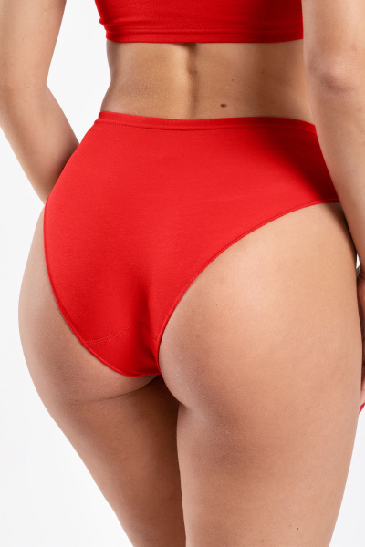 Трусы с высокой линией талии из хлопка с широкой резинкой SERGE 4694/46 red-050 - фото 2