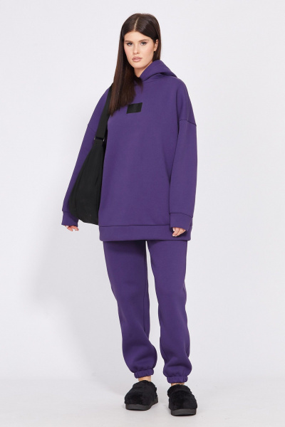 Фиолетовый спортивный комплект из трикотажа с капюшоном EOLA 2532 фиолетовый - фото 4