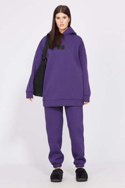 Фиолетовый спортивный комплект из трикотажа с капюшоном EOLA 2532 фиолетовый - фото 1