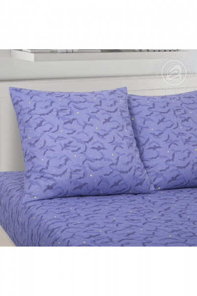 Комплект постельного белья поплин из хлопка мультиколор АРТПОСТЕЛЬ 912 академия - фото 3