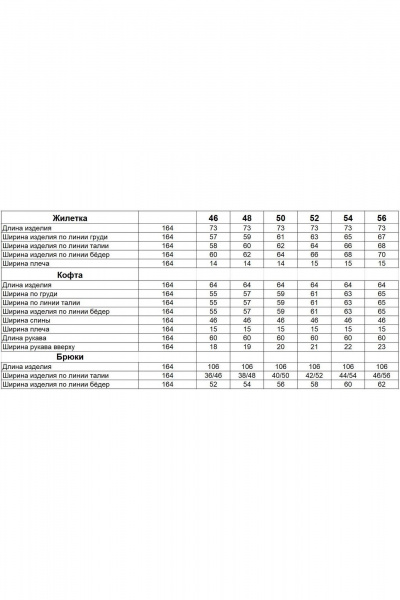 Спортивный комплект брюки жилет худи из плащёвой ткани Диомант 1944 - фото 3