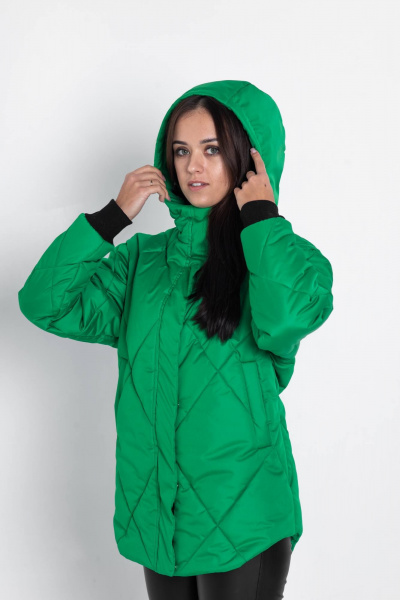 Куртка зимняя зелёная с утеплителем Hoopon MT.Style 182534333 - фото 1