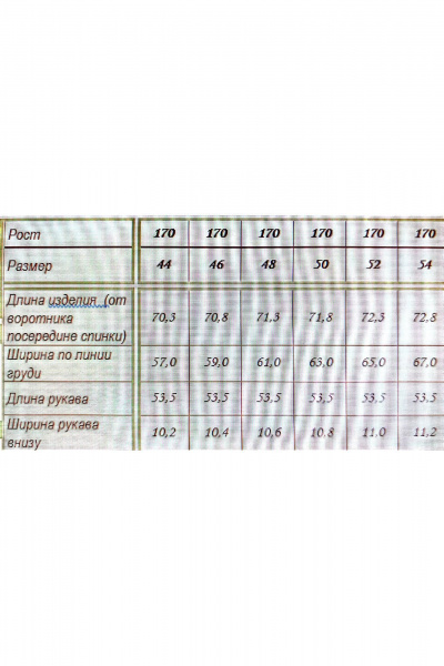 Джемпер Arisha 386 белый - фото 4