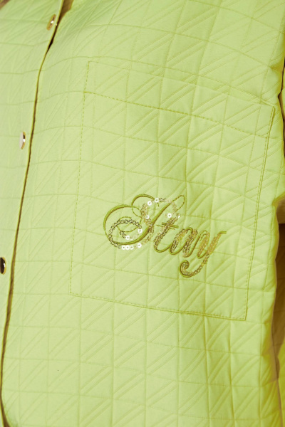 Зеленая рубашка с коротким рукавом и вышивкой TAiER 1256 лайм - фото 3