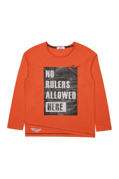 Демисезонный джемпер с асимметричным низом и вышивкой Bell Bimbo 180136 терракот - фото 1