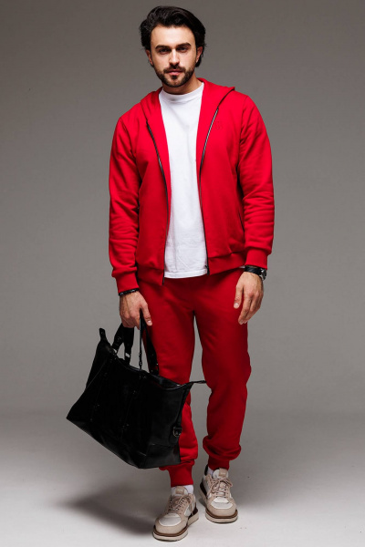 Демисезонный спортивный костюм худи и брюки из трикотажа GO M3060/11-02 - фото 3