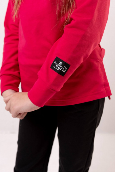 Брюки, джемпер Бобруйсктрикотаж 13500 ягода/черный - фото 4