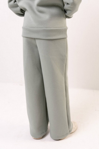 Брюки, джемпер Бобруйсктрикотаж 13505 полынь - фото 4