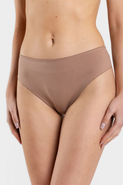 Трусы SERGE 4112/84 brown068 - фото 1