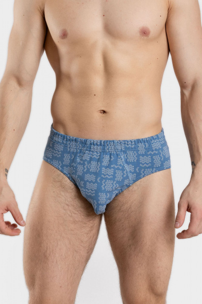 Мужские хлопковые трикотажные плавки с мягкими резинками SERGE 7015/17 patt0655 - фото 1