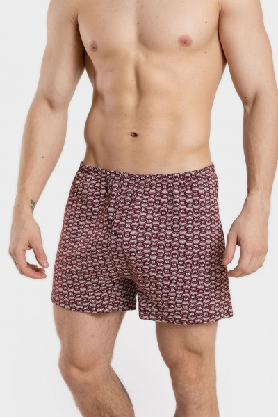 Хлопковые шорты для мужчин с плоскими швами и эластичной резинкой SERGE 7017/22 patt0657 - фото 1