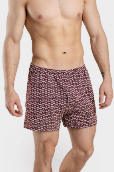 Хлопковые шорты для мужчин с эластичной резинкой SERGE 7050/2 patt0657 - фото 1