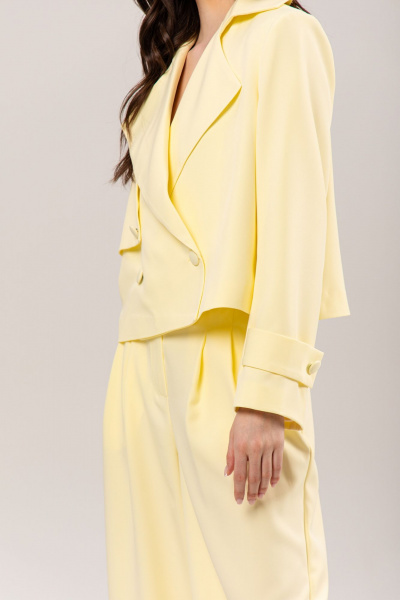 Брюки, жакет RINKA 1234/1 - фото 13