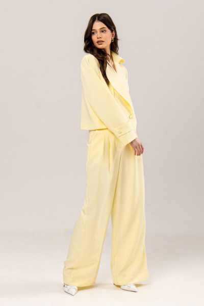 Брюки, жакет RINKA 1234/1 - фото 9