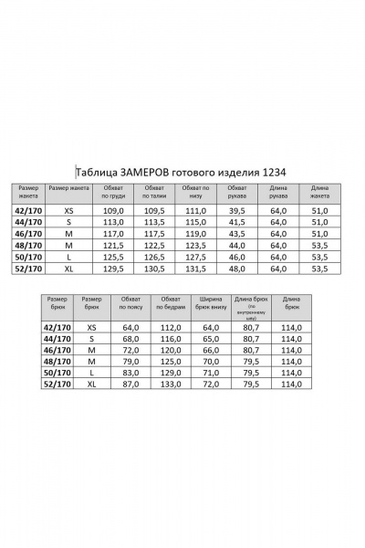 Брюки, жакет RINKA 1234/1 - фото 4