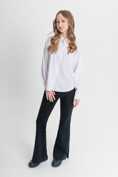 Брюки Франтишка Ш-3464м-23с-107-с78 черный - фото 7