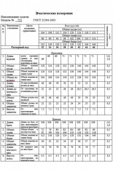 Демисезонный спортивный костюм из трикотажа для повседневности Swallow 722 светлый_графит - фото 16