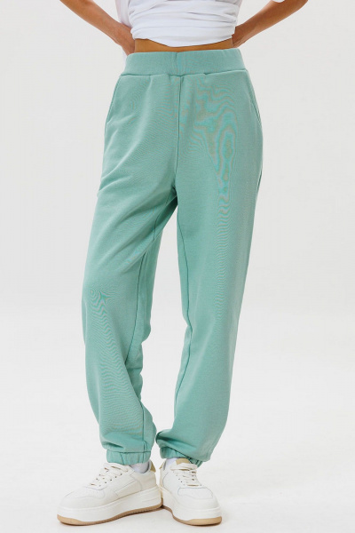 Брюки GO F2011/26-688. 164-170 - фото 1