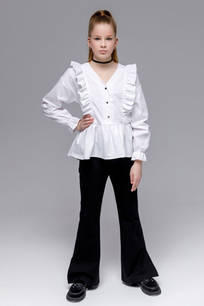 Брюки Франтишка Ш-3464м-23с-107-с78 черный - фото 3