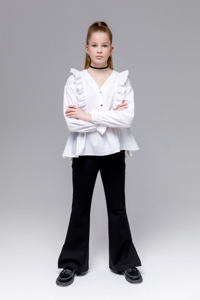 Брюки Франтишка Ш-3464м-23с-107-с78 черный - фото 1