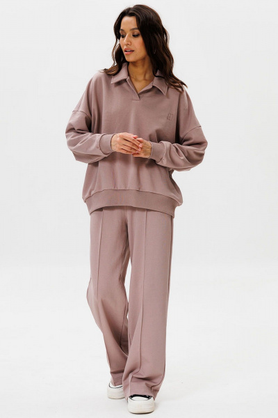 Брюки и свитшот из трикотажа с воротником для офиса и отдыха GO F3075/04-03. 170-176 - фото 1