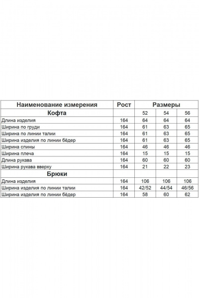 Демисезонный комплект брюк и толстовки с печатью Диомант 1890 - фото 6